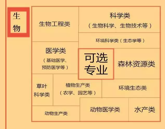 根據(jù)特長(zhǎng)選專業(yè)，高中各門課程對(duì)應(yīng)大學(xué)專業(yè)實(shí)用盤點(diǎn)，志愿填報(bào)的你不可錯(cuò)過！
