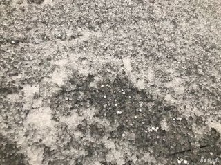 “立春”成都下起了冰雹？專家那是霰