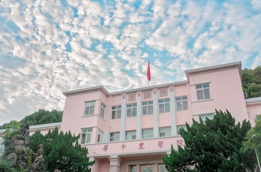 華中農(nóng)業(yè)大學2019年各省市錄取分數(shù)線