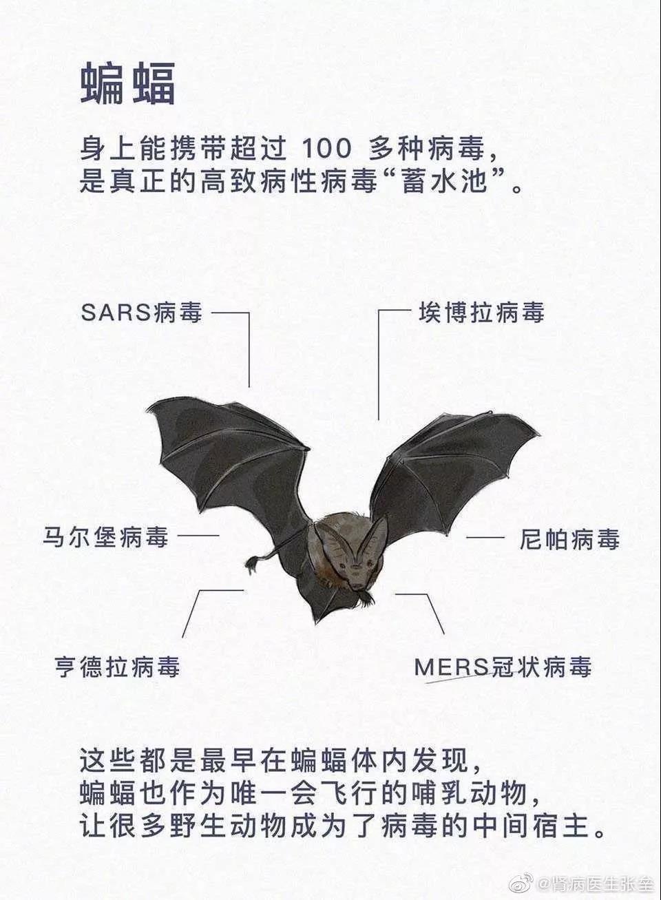 這10道與疫情有關(guān)的作業(yè)題，你的孩子會(huì)如何作答？