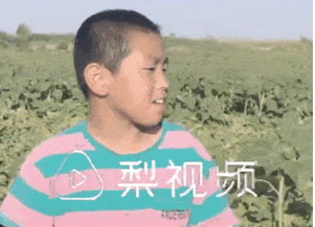 這位11歲男孩的暑假生活，被網(wǎng)友狂贊